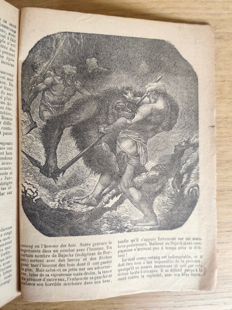 Le Véritable Messager Boiteux de Berne et Vevey, pour l'An de grâce 1874. Almanach historique. 167e année