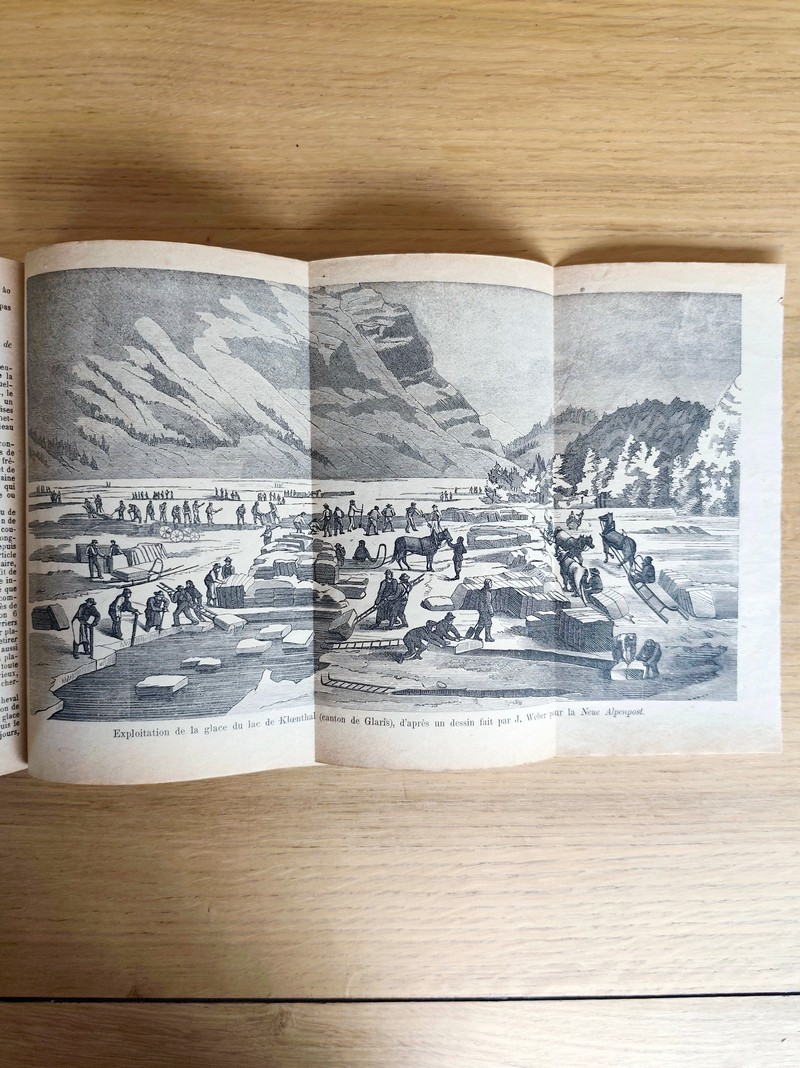 Le Véritable Messager Boiteux de Berne et Vevey, pour l'An de grâce 1878. Almanach historique. 171e année