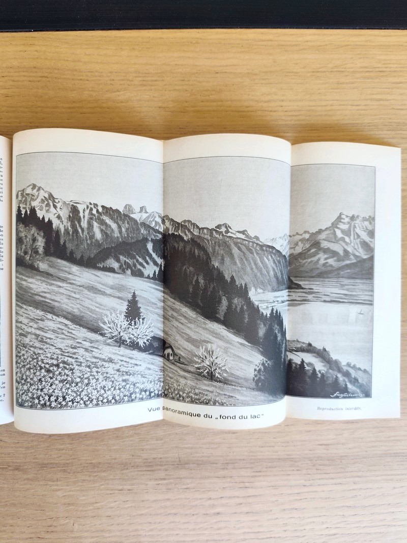 Le Véritable Messager Boiteux de Berne et Vevey, pour l'An de grâce 1933. Almanach historique....