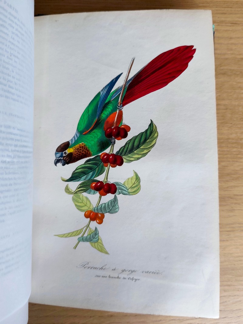 Le jardin des plantes, description complète, historique et pittoresque du Muséum d'histoire naturelle, de la ménagerie, des serres, des galeries de minéralogie et d'anatomie et de la vallée Suisse (complet en 2 vol. in 4)