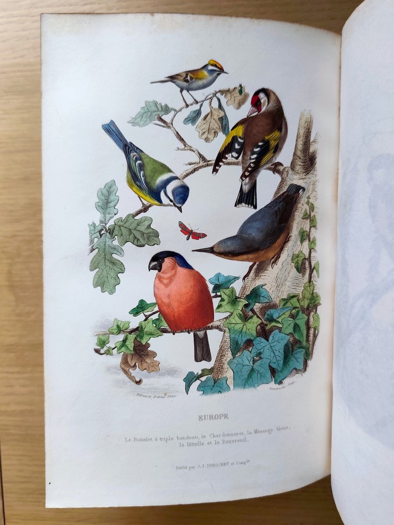 Le jardin des plantes, description complète, historique et pittoresque du Muséum d'histoire naturelle, de la ménagerie, des serres, des galeries de minéralogie et d'anatomie et de la vallée Suisse (complet en 2 vol. in 4)