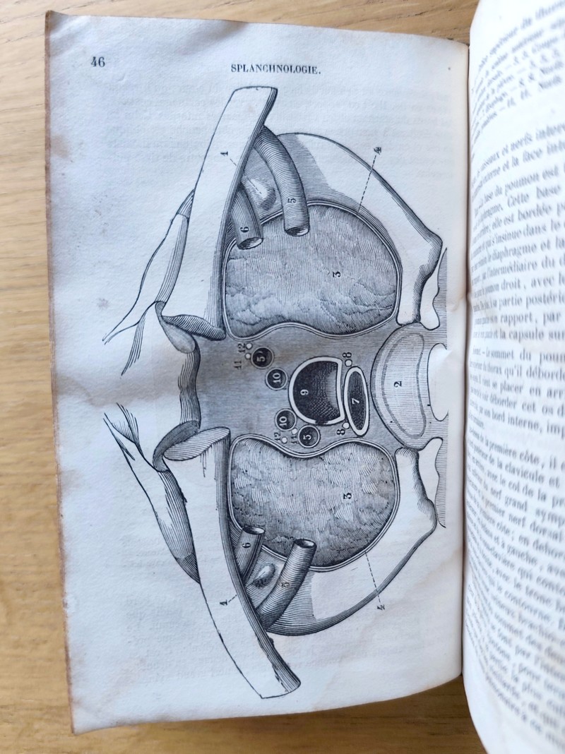 Anatomie descriptive et dissection (3 volumes) contenant un précis d'embryologie, la structure microscopique des organes et celle des tissus