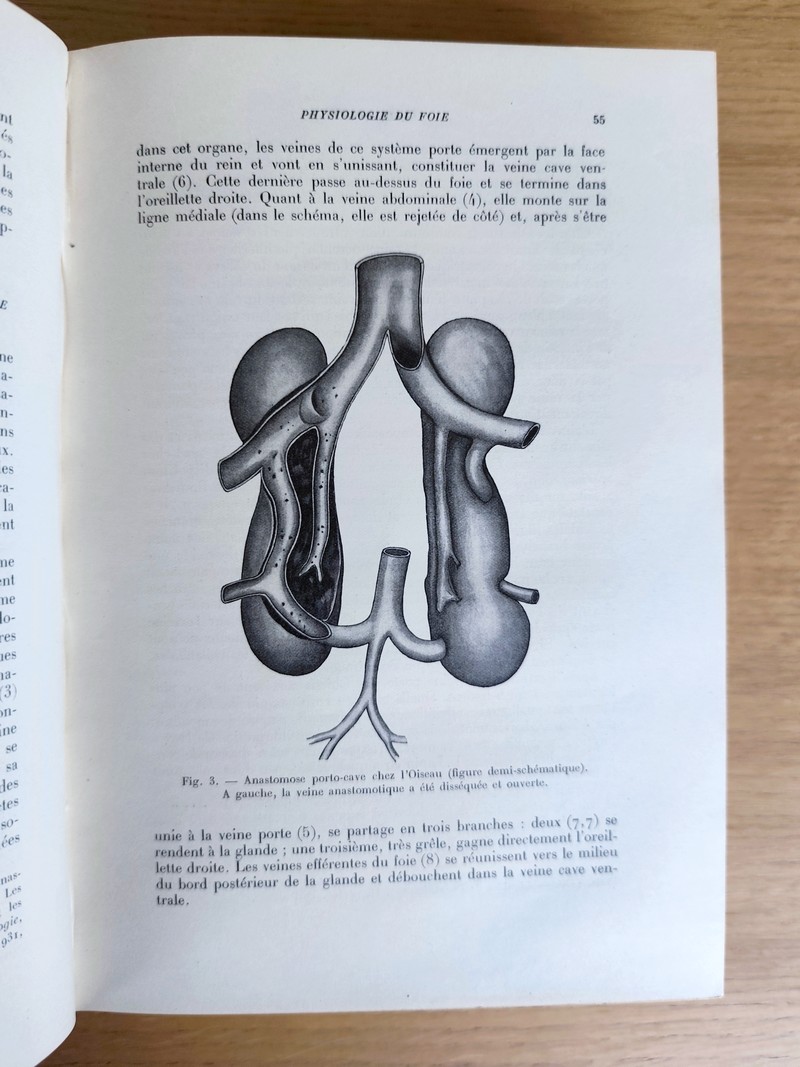 Physiologie du foie et de l'appareil urinaire. Tome III du Traité de physiologie normale et pathologique
