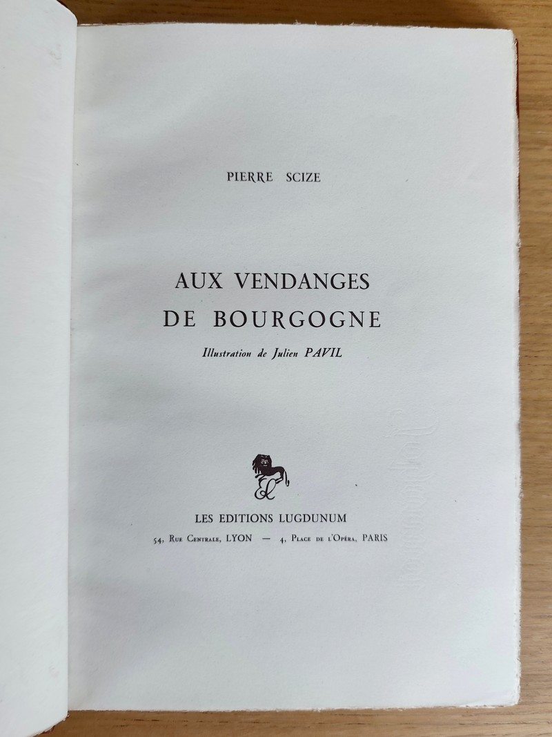Aux vendanges de Bourgogne