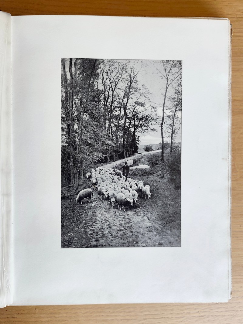 Esthétique de la Photographie