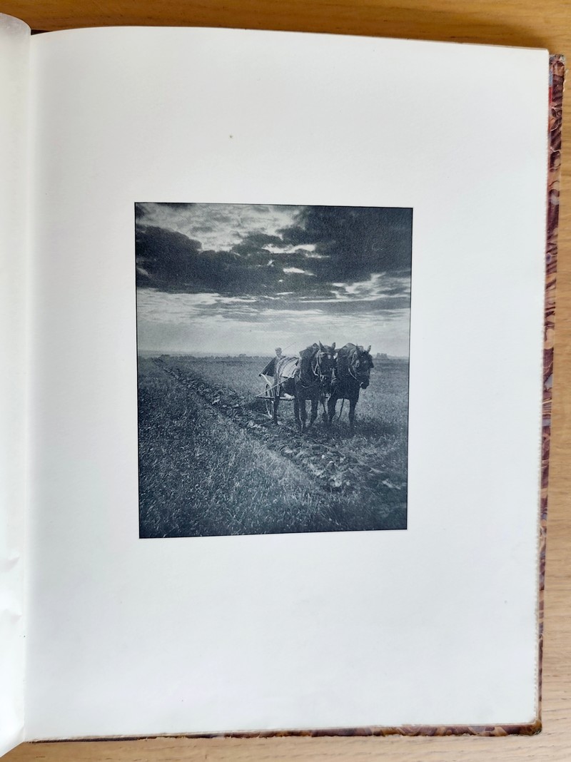 Esthétique de la Photographie