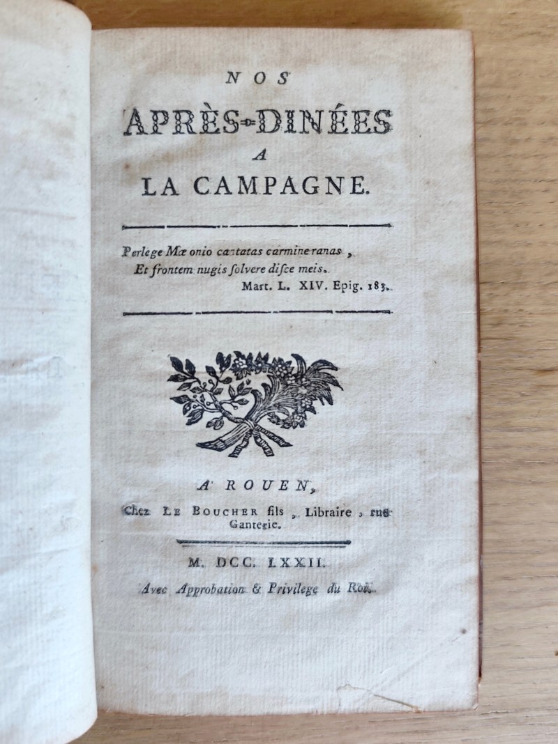 Nos après-dinées à la campagne
