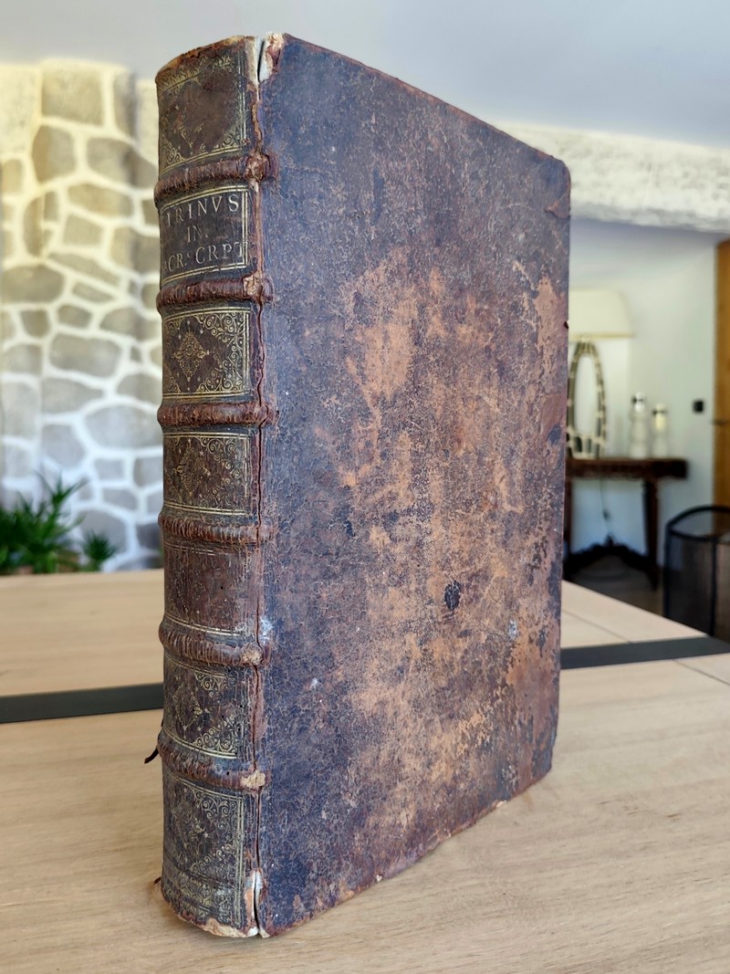 Antuerpiani e societate Jesu, commentaris in sacram scripturam (2 volumes in folio en 1)