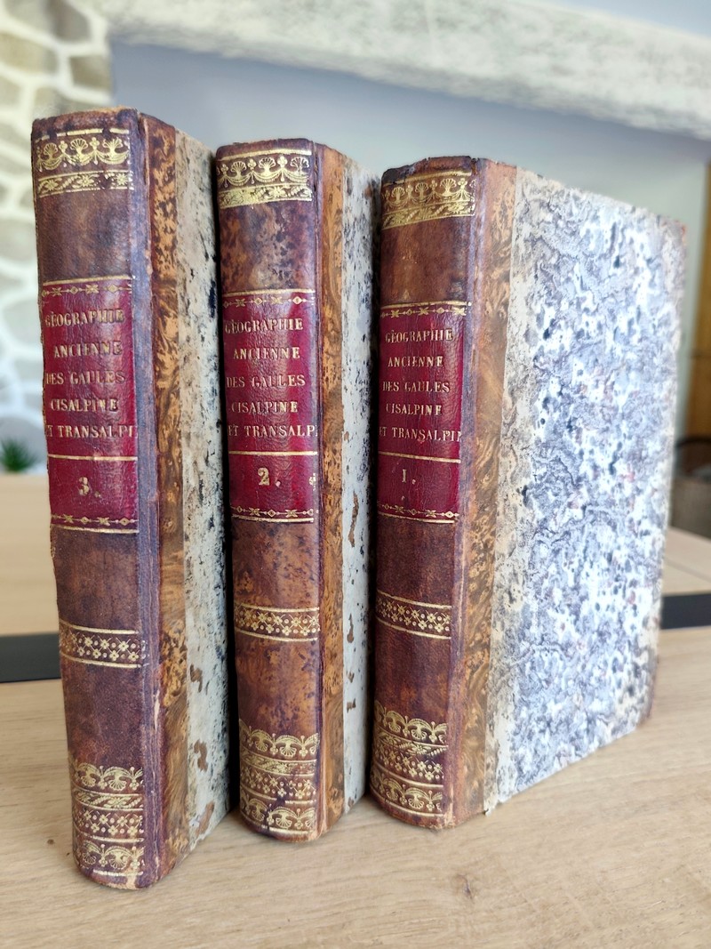 Géographie ancienne, historique et comparée des Gaules cisalpine et transalpine, suivie de l'analyse géographique des itinéraires anciens (3...