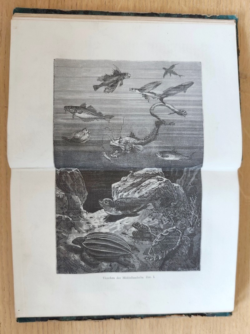 20 000 mijlen onder zee (2 volumes) oostelijk halfrond - westlijk halfrond