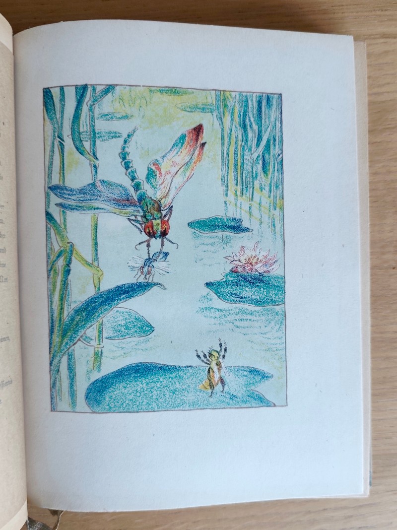 Die Biene Maja und ihre ubenteuer