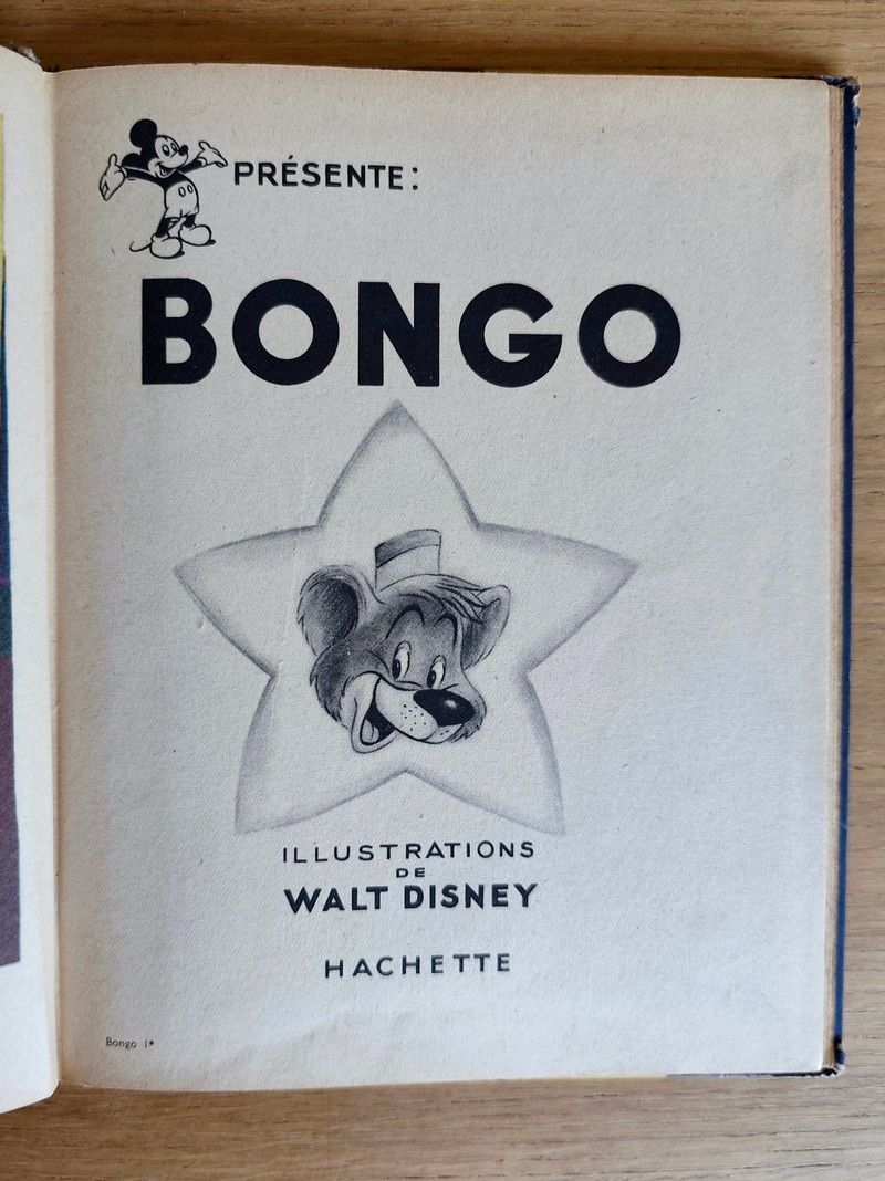 Bongo