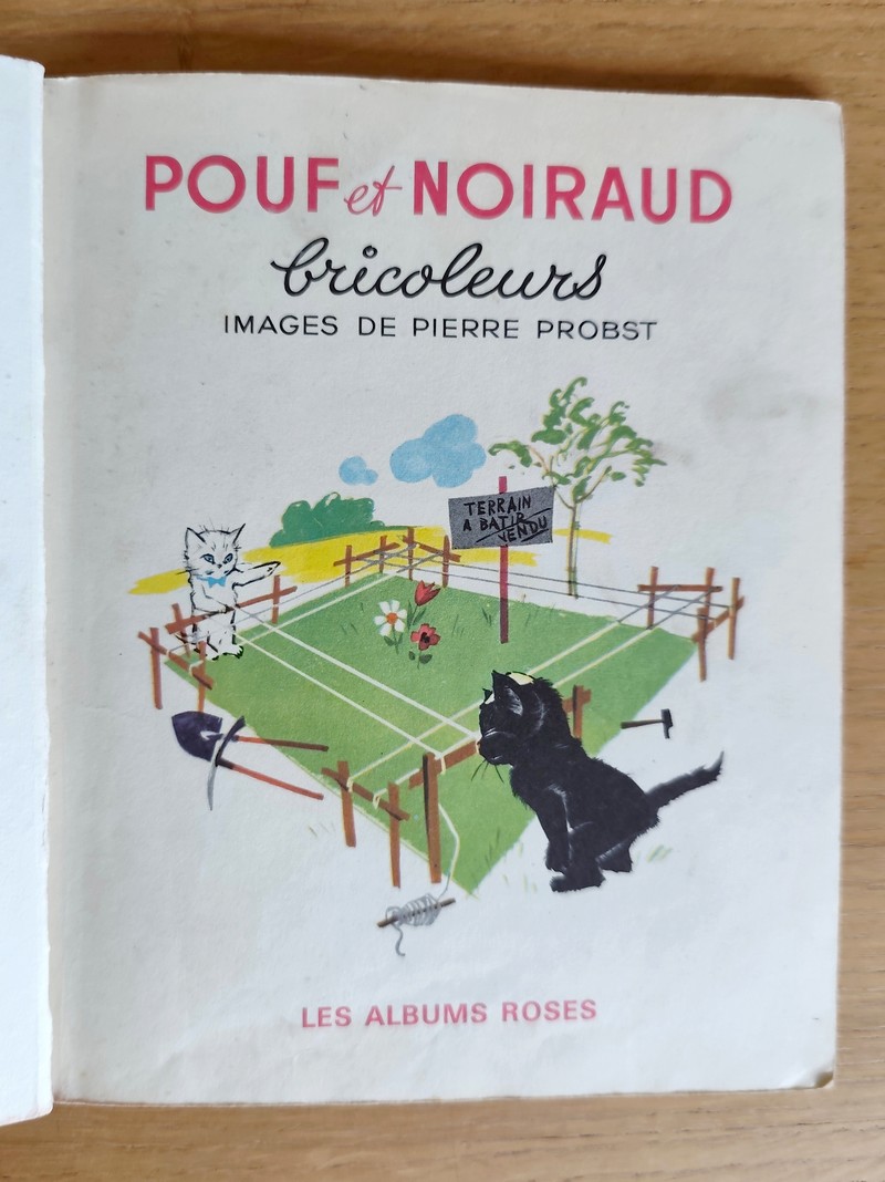 Pouf et Noiraud bricoleurs