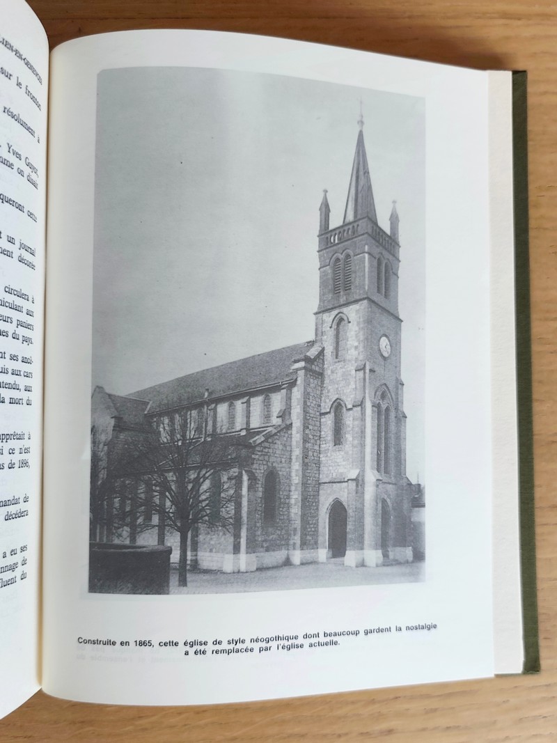 Saint-Julien-en-Genevois. Histoire d'un bourg de province des origines à nos jours