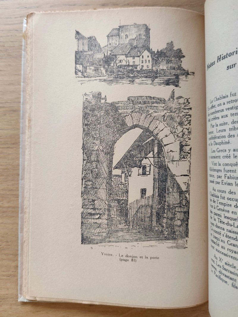 Châteaux Savoyards. Tome I : Faucigny et Chablais