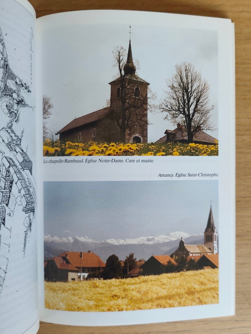 La Roche-sur-Foron et le pays rochois