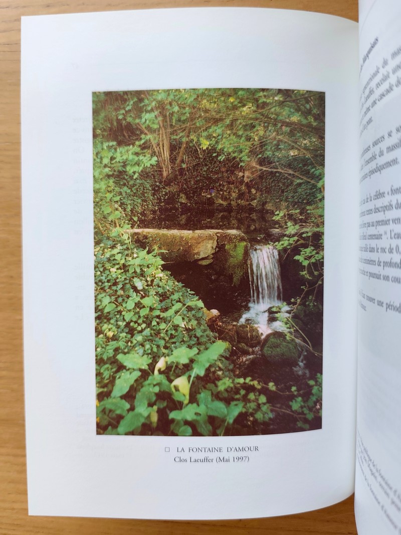 Annesci N° 38 - Zigzags à travers bois