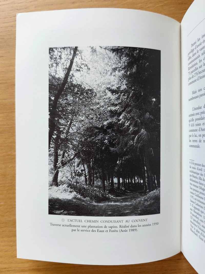 Annesci N° 39 - Le rôle économique de l'abbaye de Sainte-Catherine. La faïencerie de Sainte-Catherine