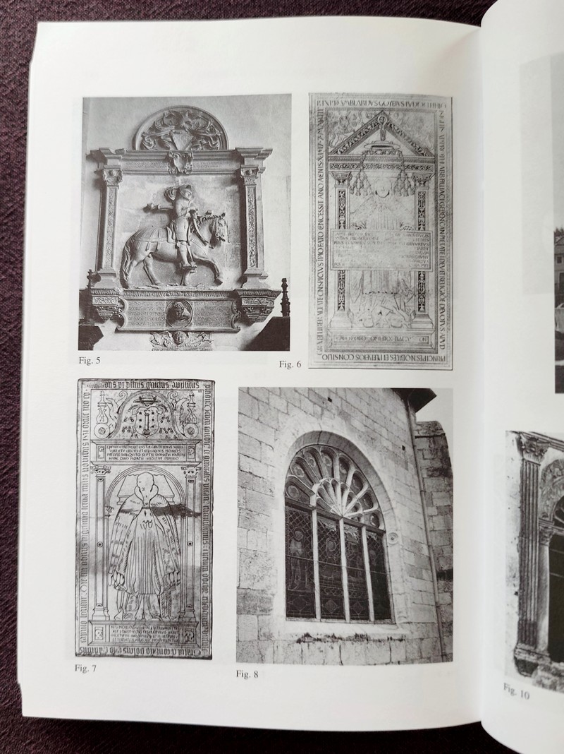 Chemins d'histoire alpine. Mélanges dédiés à la mémoire de Roger Devos