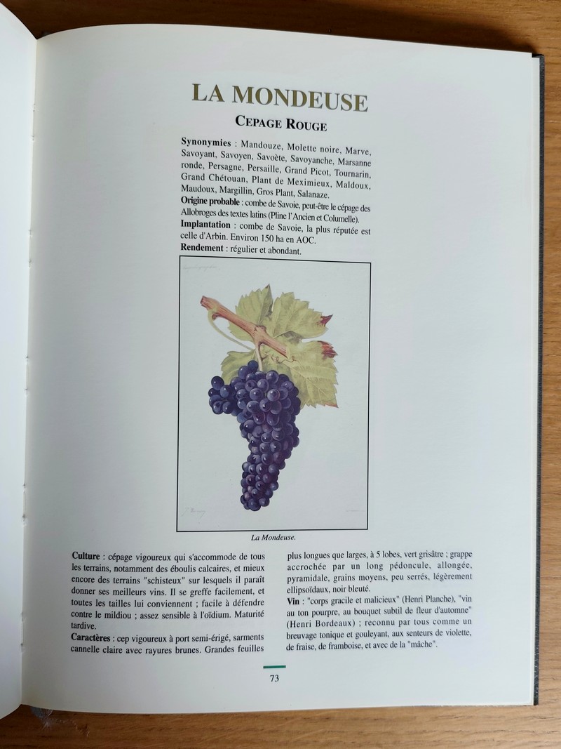 Les vins des Terroirs de Savoie