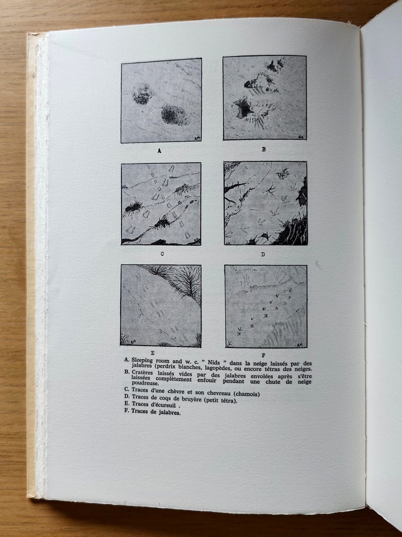 Récits de chasse et d'alpinisme au Taillefer et en Oisans