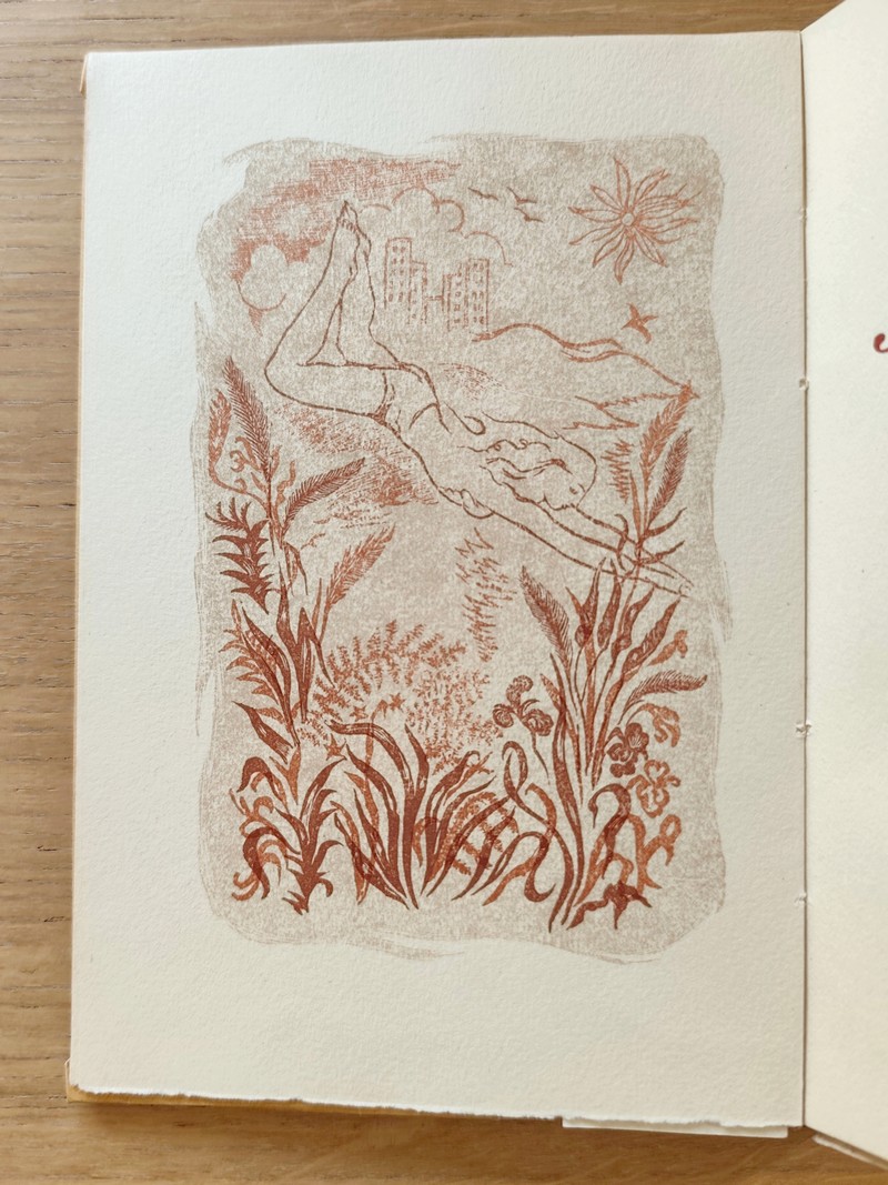 Aventures de Jérôme Bardini (avec suite)