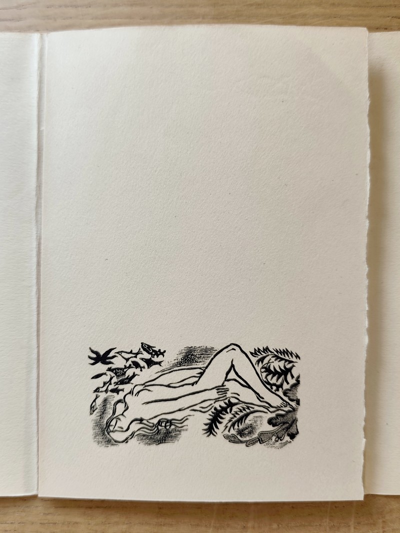 Aventures de Jérôme Bardini (avec suite)