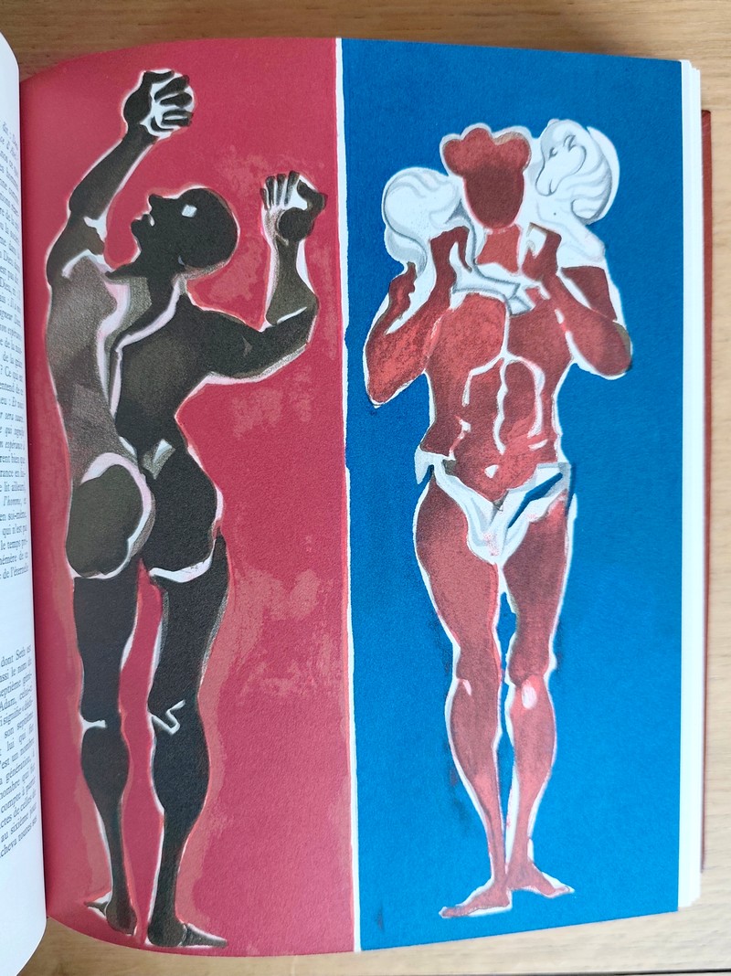 La Cité de Dieu (2 volumes)