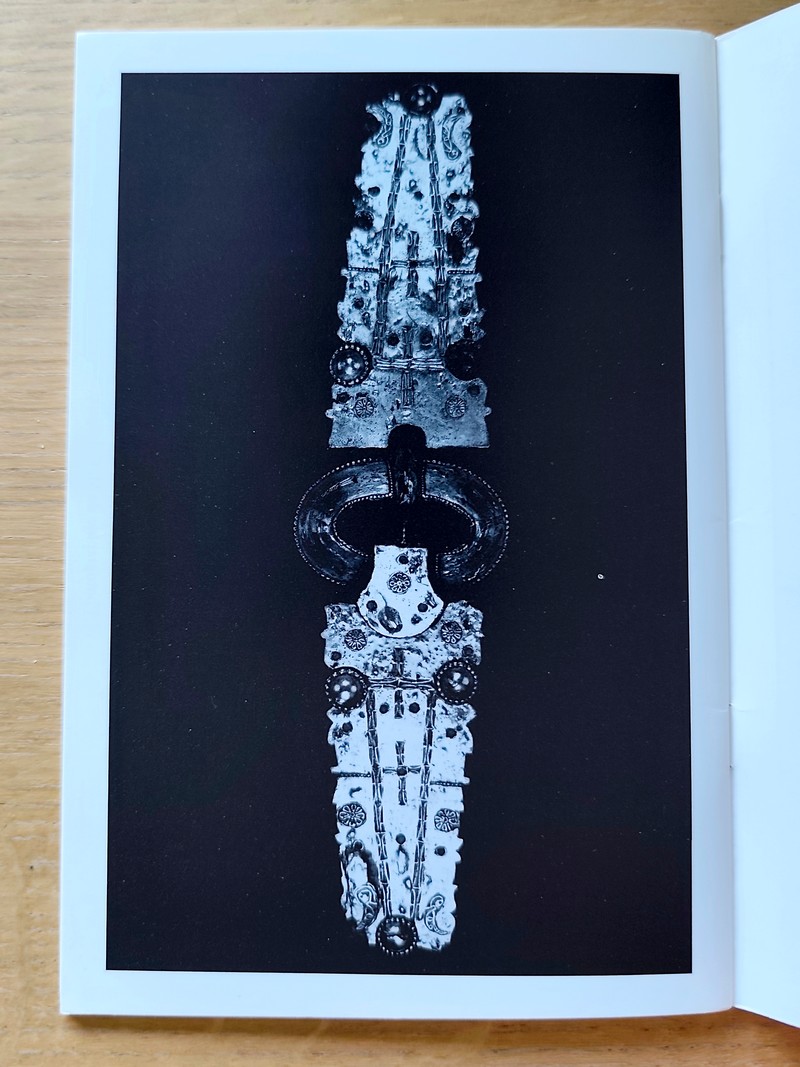 Les Burgondes et la « Sapaudia »