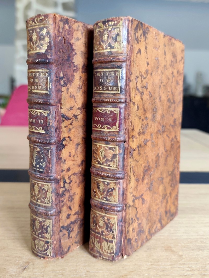 Lettres et opuscules (2 volumes)