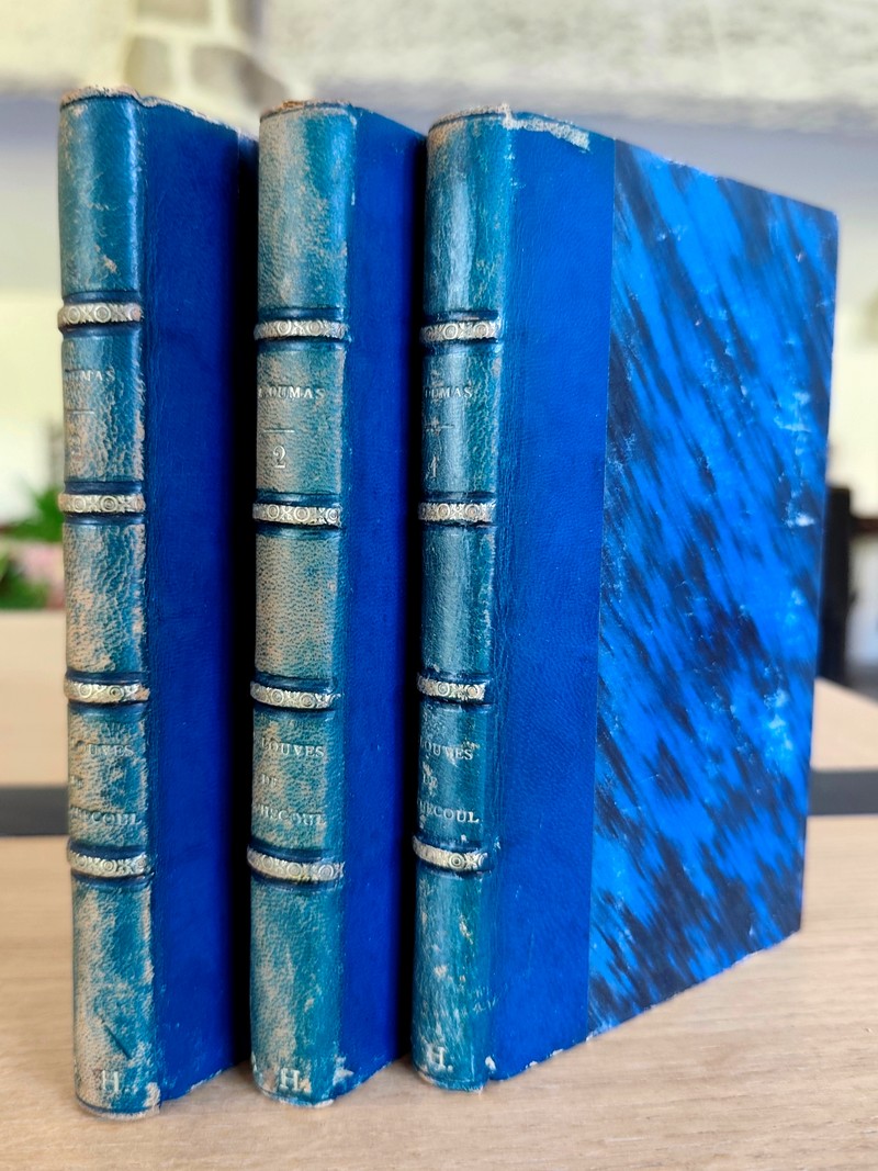 Les louves de Machecoul (complet en 3 volumes)