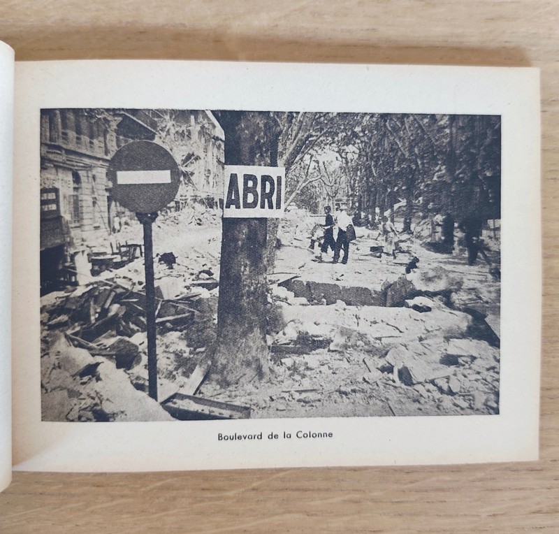 Bombardement de la Ville de Chambéry par l'aviation anglo-américaine. 26 mai 1944, 10 h 15. 40 reproductions de photographies