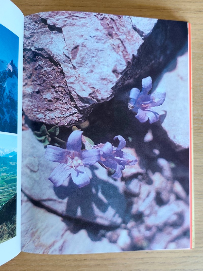 Pays de Savoie. Petite encyclopédie savoyarde. Le milieu physique ; L'histoire ; La vie quotidienne et traditions populaires ; De l'art populaire à l'art savant ; La vie économique.