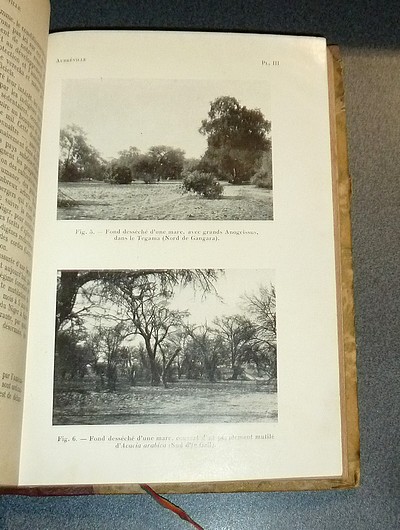 Bulletin Général de l'Afrique Occidentale Française. Bulletin du comité d'études historiques et scientifiques de l'Afrique Occidentale Française. Année 1936 Tome XIX