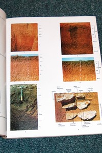 Les sols à profil calcaire différencié des plaines de la basse Moulouya (Maroc oriental)