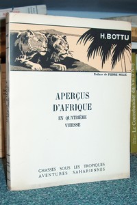 Aperçus d'Afrique en quatrième vitesse