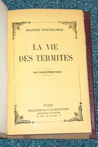 La vie des termites