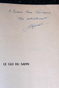 Le gui du sapin