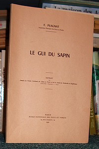 Le gui du sapin