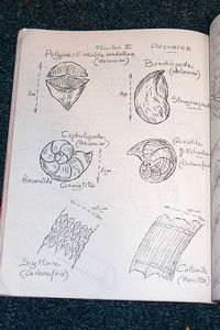 Cours de Géologie