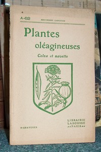 Plantes oléagineuses. Colza et navette
