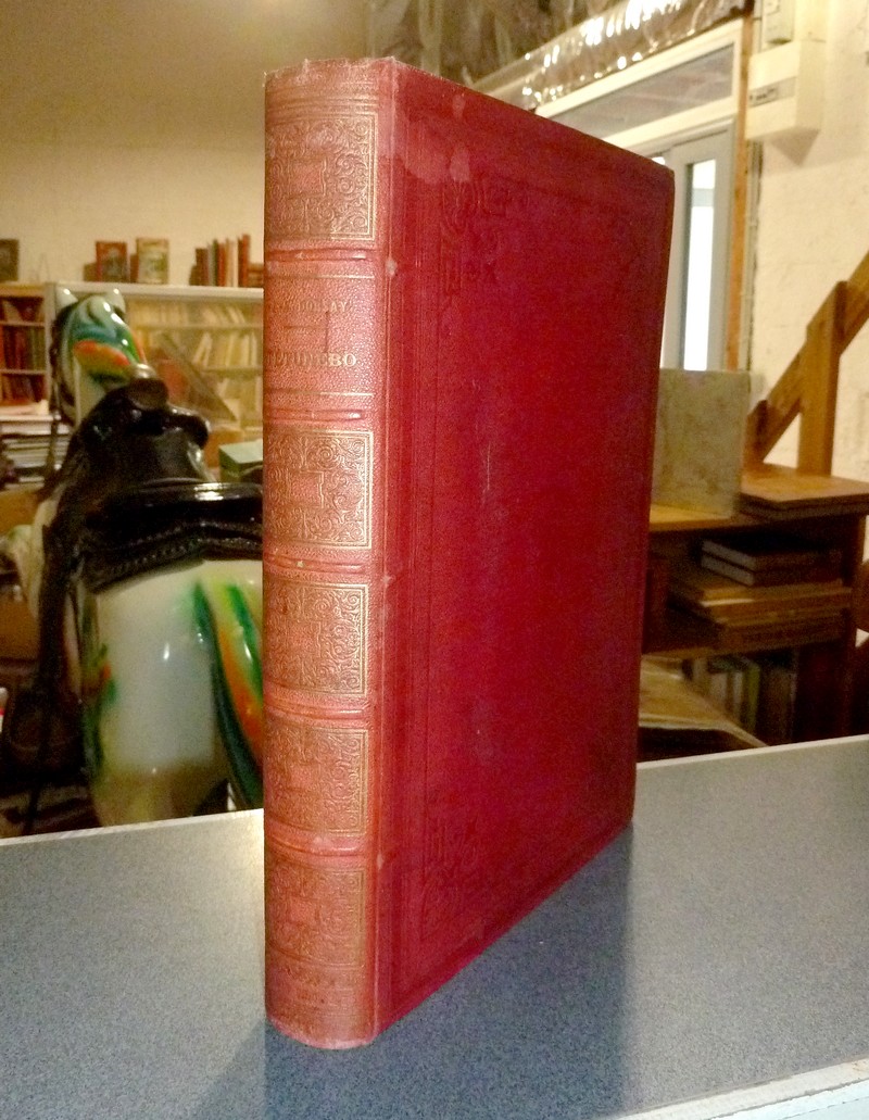livre ancien - Tétunébo, le roi nègre. Voyage à Paris en 1889 et aventures du grand chef des ratapoilos - Dorsay, Jules