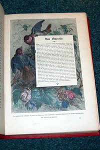 Autour d'une volière, oiseaux de France & oiseaux exotiques